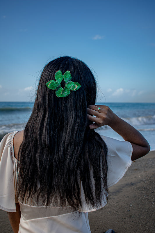 Midori